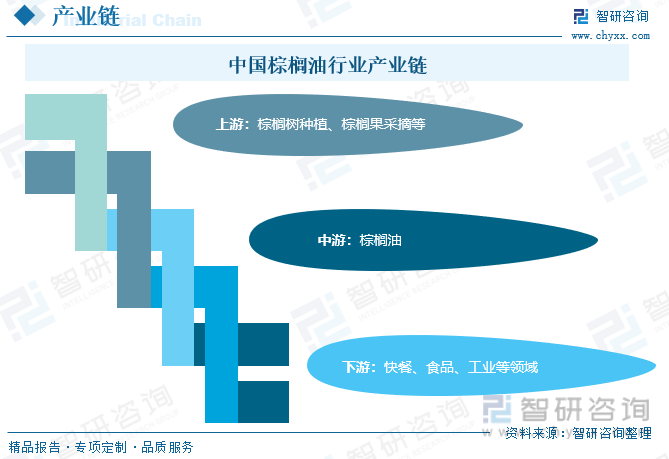 2023年中国棕榈业市场供需现状及进出口贸易分析：进出口价格增幅明显[图](图3)
