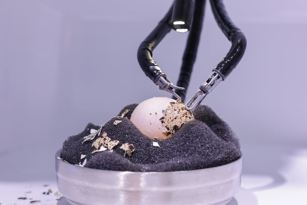 开放引领发展 合作共赢未来——习主席向2023年中国国际服务贸易交易会全球服务贸易峰会的致辞彰显中国开放合作信心(图8) 开放引领发展 合作共赢未来——习主席向2023年中国国际服务贸易交易会全球服务贸易峰会的致辞彰显中国开放合作信心(图8)