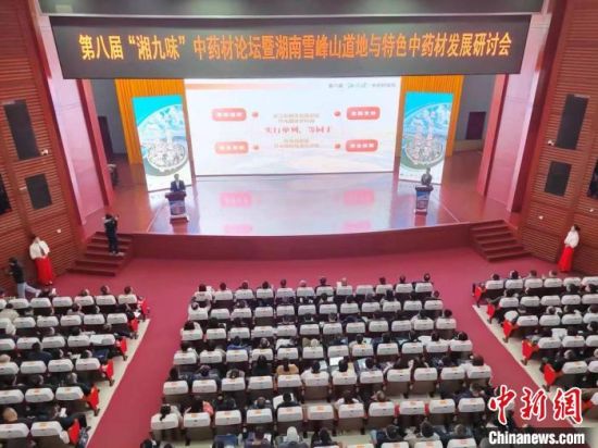 2023长沙国际物流与交通博览会开幕 助力打造现代化新长沙(图1)