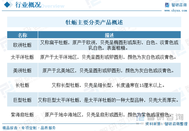 2023年中国牡蛎产业供需及进出口现状：养殖面积和产量大幅度增长[图](图1)