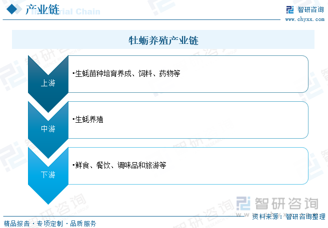 2023年中国牡蛎产业供需及进出口现状：养殖面积和产量大幅度增长[图](图3)