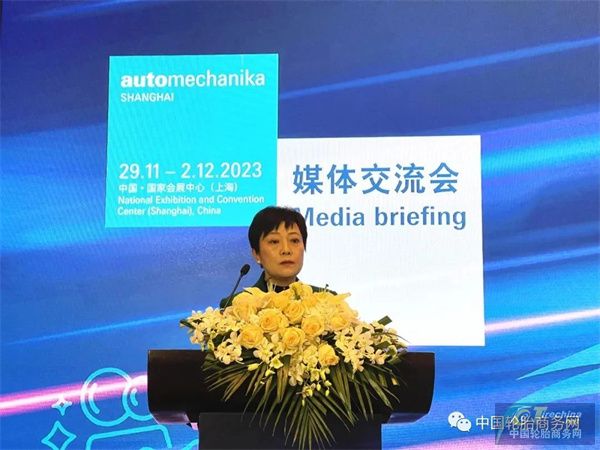 AMS2023开幕！全球汽车行业精英齐聚!(图3)