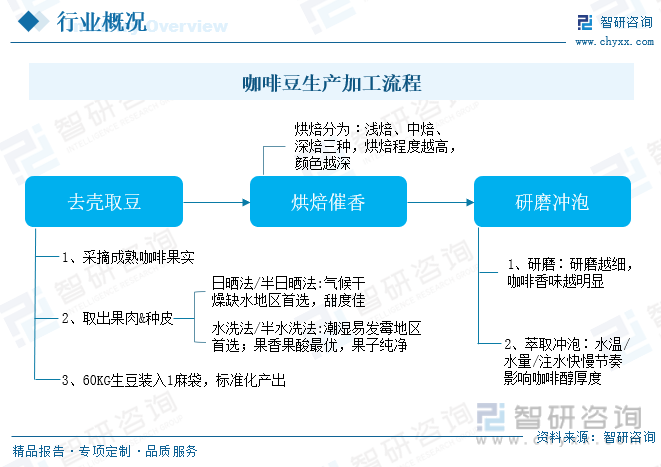 2023年中国咖啡豆行业发展概况：复盘咖啡历史发展新世代需求释放[图](图2)