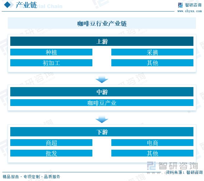 2023年中国咖啡豆行业发展概况：复盘咖啡历史发展新世代需求释放[图](图5)