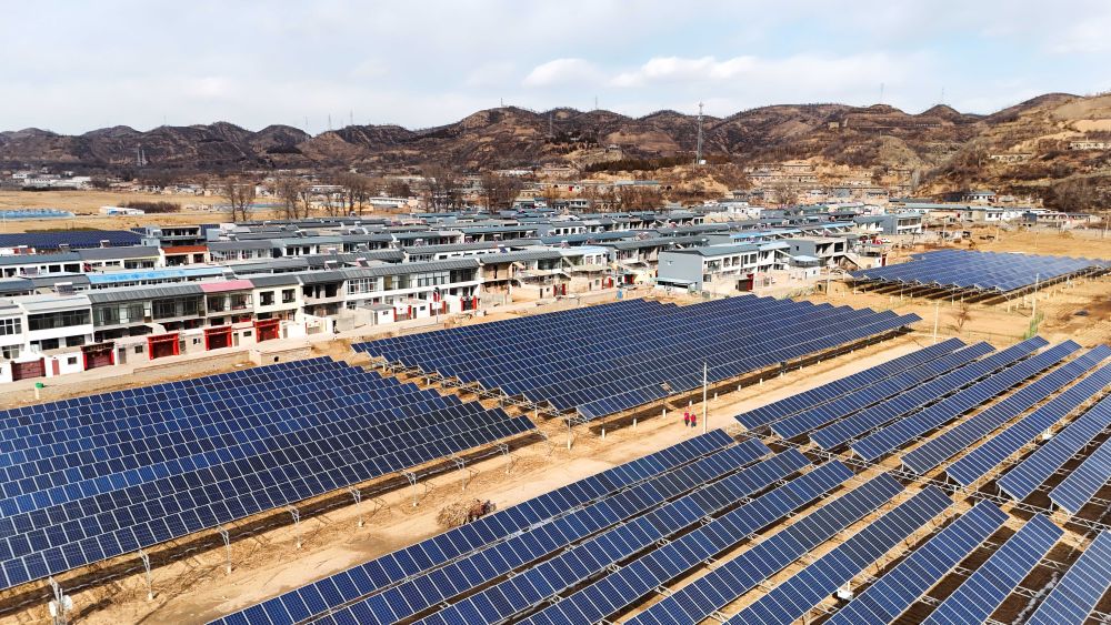 中国大市场观察(图4)