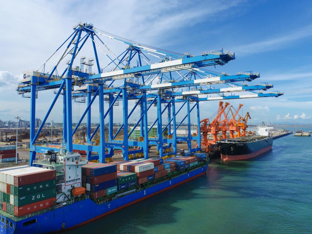 新时代·高质量·硬道理丨开放的大门越开越大、开放的水平越来越高——代表委员谈扩大高水平对外(图2)