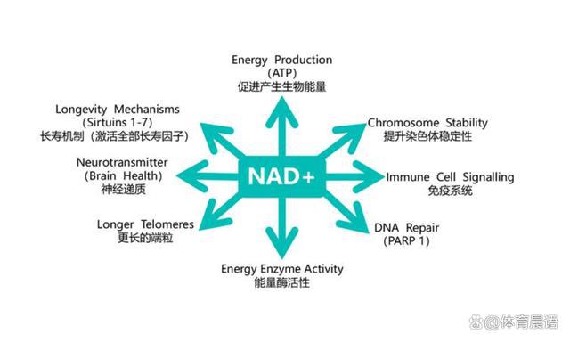 日本瞬间绝望!搞贸易战欲封锁中国工业却被直接砍掉千亿订单(图3) 日本瞬间绝望!搞贸易战欲封锁中国工业却被直接砍掉千亿订单(图3)