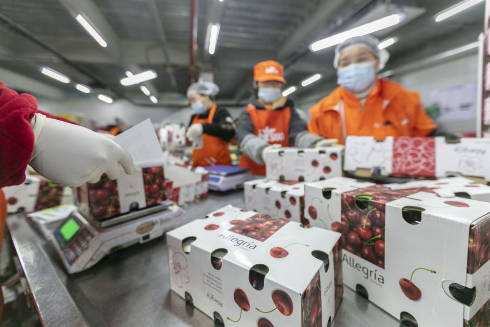 共话中国经济新机遇｜智利水果出口商协会主席马兰比奥：中国推动全球贸易畅通树立合作典范(图2)