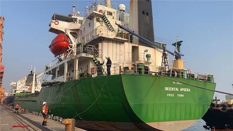 中国—苏里南实现海运直航 初步解决贸易瓶颈(图2)