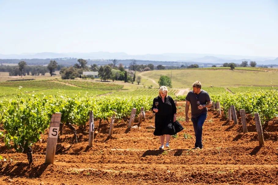 澳大利亚葡萄酒重返中国订单闻声大涨中澳贸易有望再突破(图1)