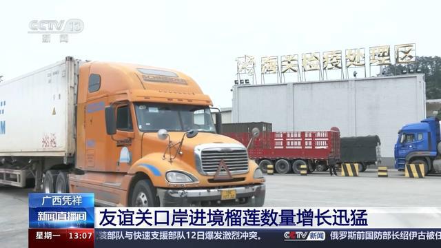 中国东盟贸易“果香”四溢 中国消费者乐享“榴莲自由”(图2)