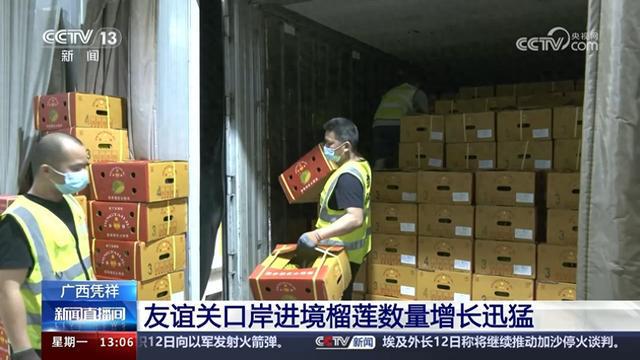 中国东盟贸易“果香”四溢 中国消费者乐享“榴莲自由”(图1)