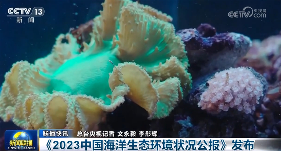 政策“组合拳”朝着稳健有效持续发力 中国高质量发展奏响“新乐章”(图7) 政策“组合拳”朝着稳健有效持续发力 中国高质量发展奏响“新乐章”(图7)