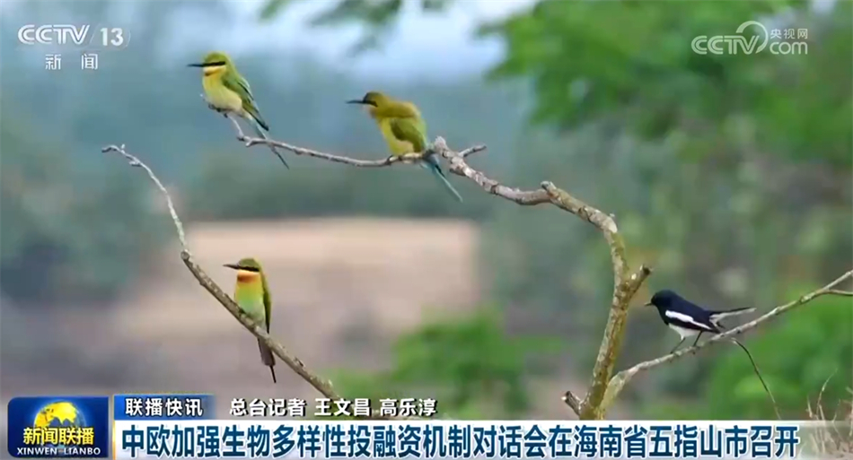 政策“组合拳”朝着稳健有效持续发力 中国高质量发展奏响“新乐章”(图9) 政策“组合拳”朝着稳健有效持续发力 中国高质量发展奏响“新乐章”(图9)