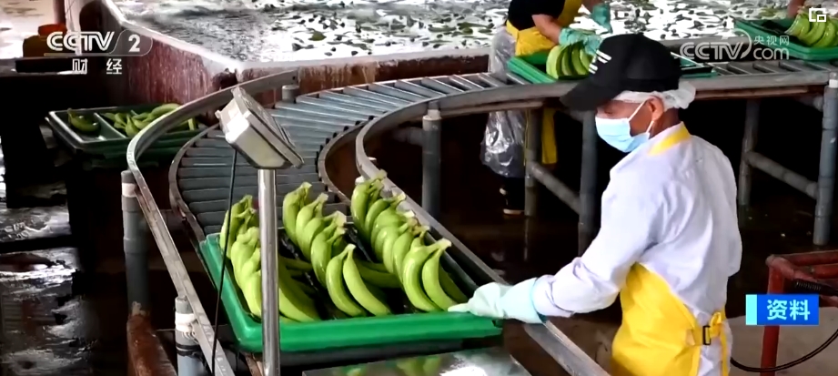 进口量持续增加 更多好物借贸易合作“东风”进入中国市场(图4) 进口量持续增加 更多好物借贸易合作“东风”进入中国市场(图4)