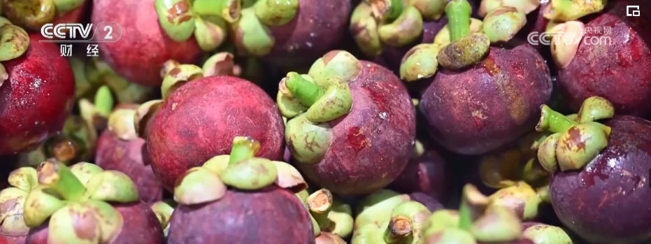 进口量持续增加 更多好物借贸易合作“东风”进入中国市场(图3) 进口量持续增加 更多好物借贸易合作“东风”进入中国市场(图3)