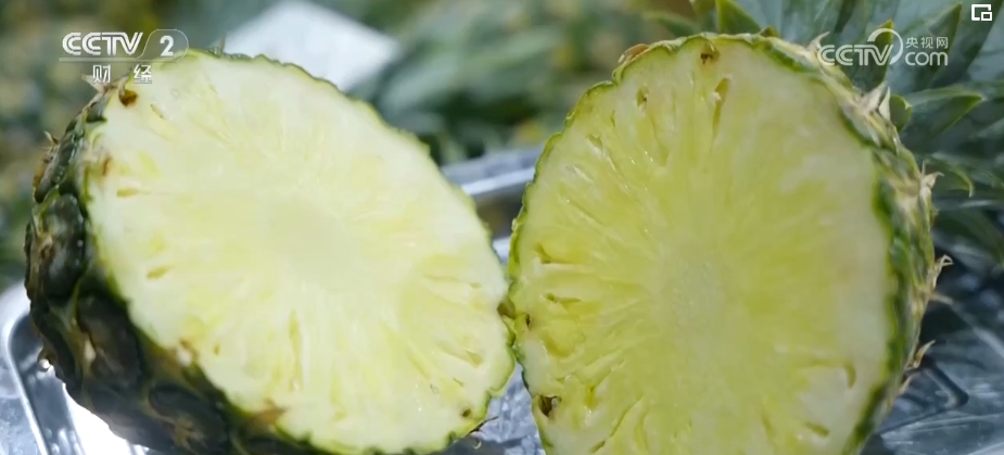 进口量持续增加 更多好物借贸易合作“东风”进入中国市场(图5) 进口量持续增加 更多好物借贸易合作“东风”进入中国市场(图5)