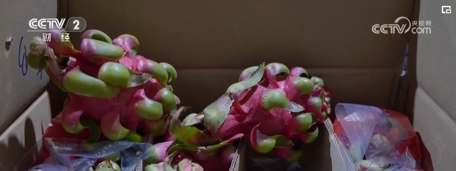 进口量持续增加 更多好物借贸易合作“东风”进入中国市场(图1) 进口量持续增加 更多好物借贸易合作“东风”进入中国市场(图1)