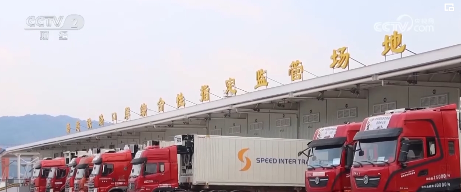 进口量持续增加 更多好物借贸易合作“东风”进入中国市场(图7) 进口量持续增加 更多好物借贸易合作“东风”进入中国市场(图7)