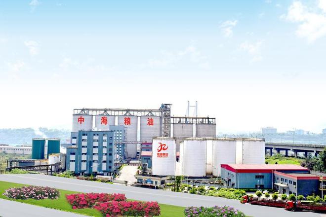 中国（四川）自由贸易试验区川南临港片区党工委副书记、管委会主任蔡宗炜：打造成渝地区双城经济圈南翼开放桥头堡(图3)