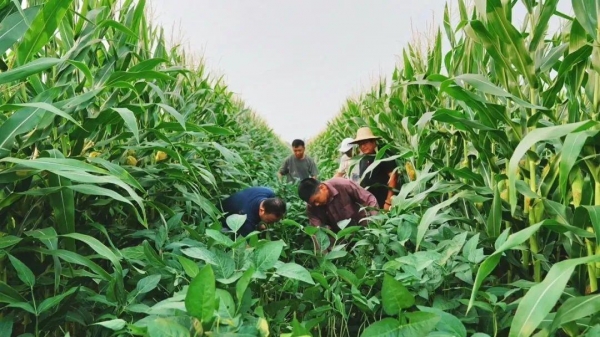 中国宁买美国转基因大豆也不要俄罗斯大豆？其实中俄贸易更密切(图16)
