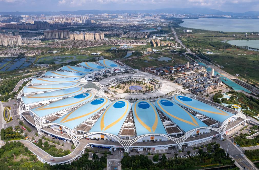 通讯｜巴基斯坦企业期待在南博会共谋发展机遇(图1)