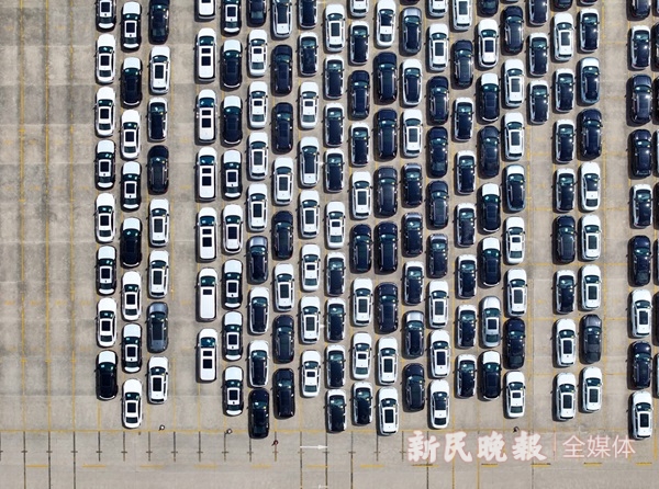 锚定现代化 改革再深化丨洋山特殊综合保税区：“放得活”又“管得住”(图1)