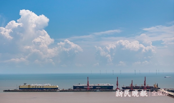 锚定现代化 改革再深化丨洋山特殊综合保税区：“放得活”又“管得住”(图3)