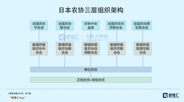 日本“米荒”：人祸咎由自取天灾不可不防-江宇舟(图5)